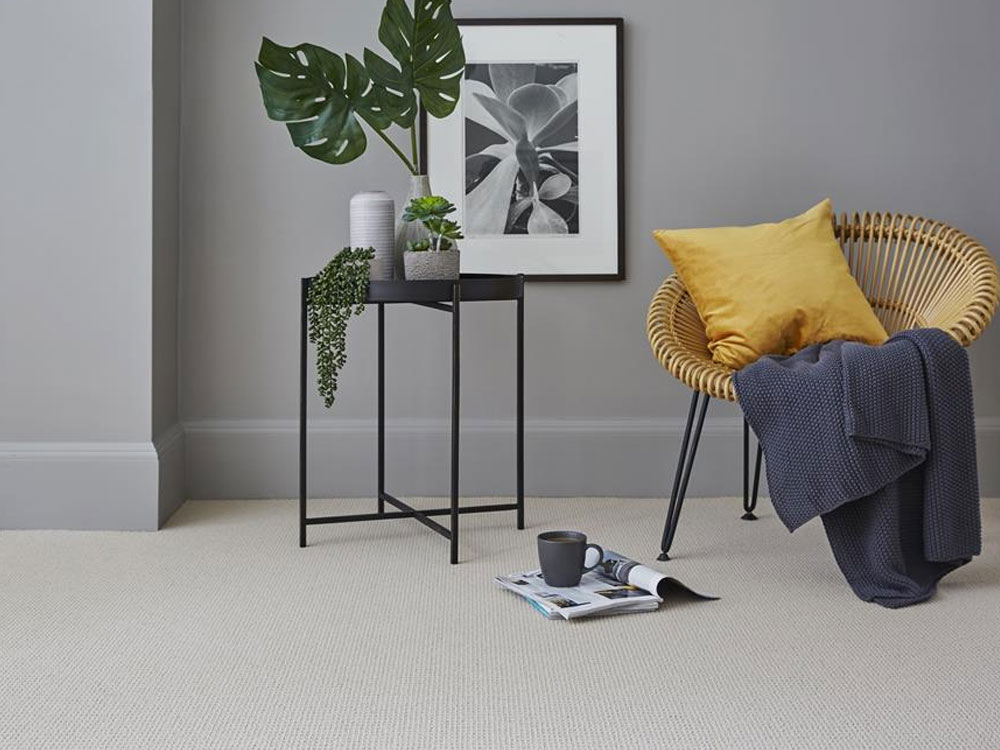 cream carpet with black table with plant