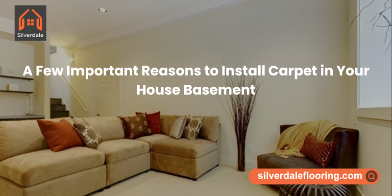 The Importance of Carpeting