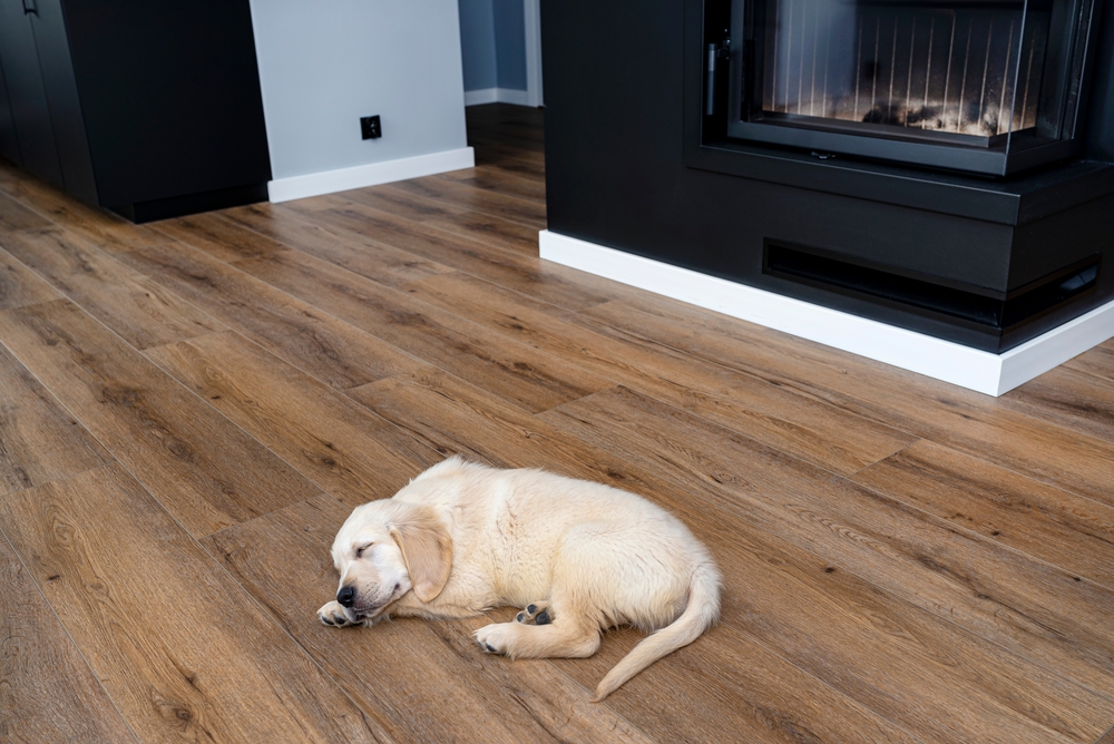 Ideal for Homes and Offices in Crawley